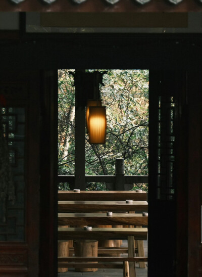 “生命是一颗长满可能的树”
摄影@陳事物語