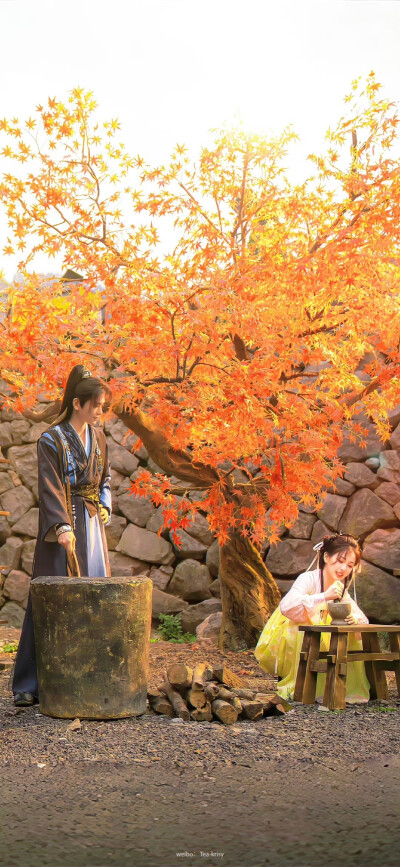 禹宙中欣 永夜星河