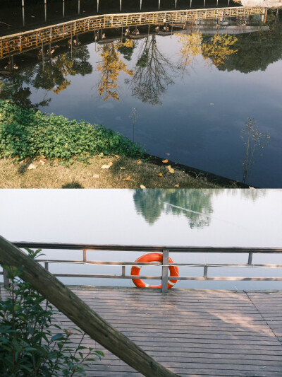 “生命是一颗长满可能的树”
摄影@陳事物語