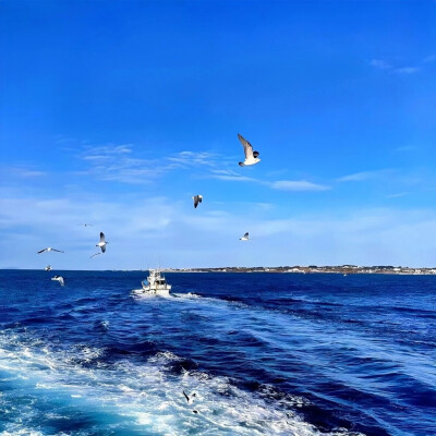 头像背景套图
