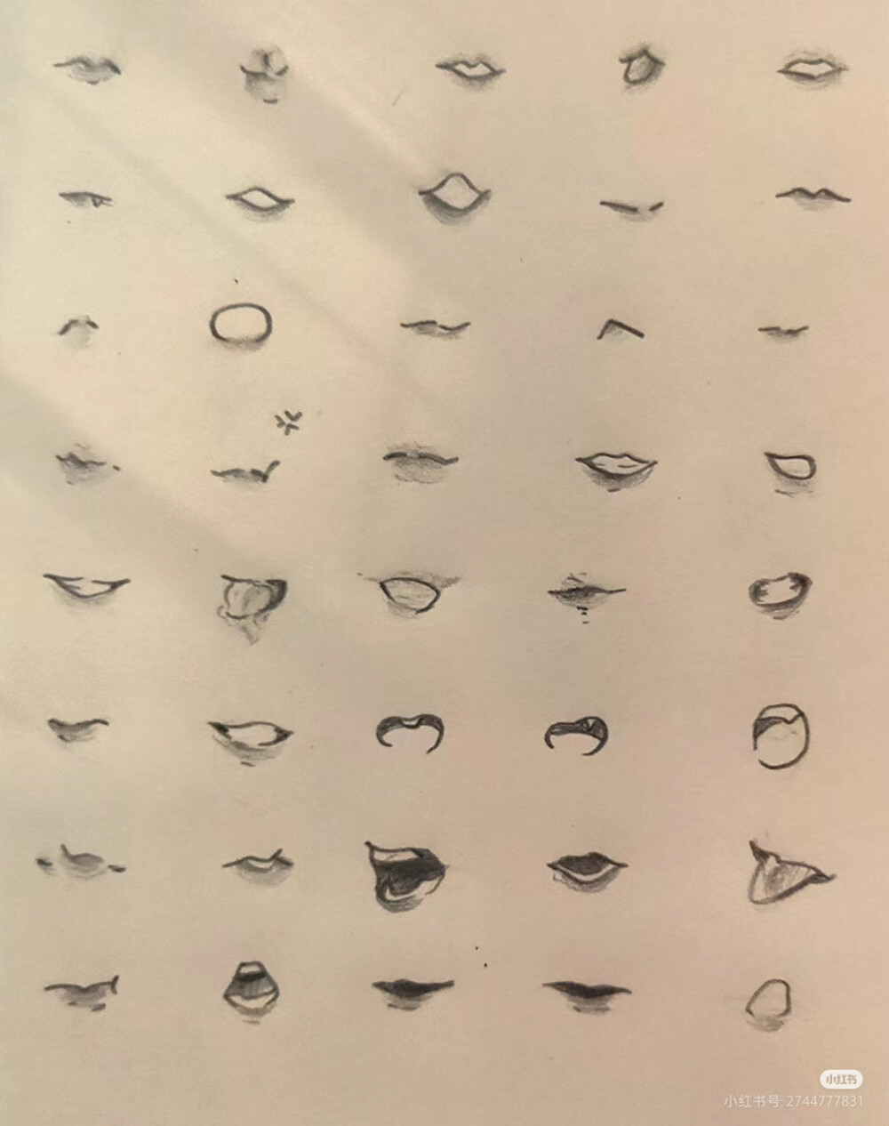 画画素材 