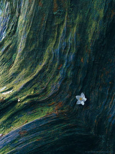 私用