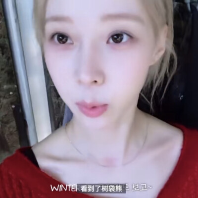 怼脸汪