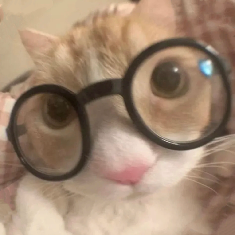 猫猫头像