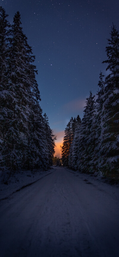 天空 烟花 雪景