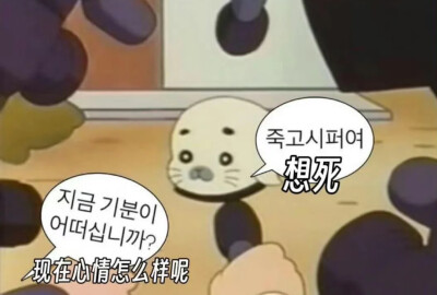 淡淡的