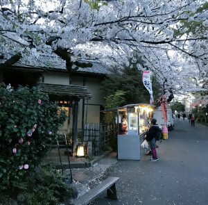 立风