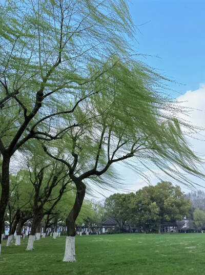 春