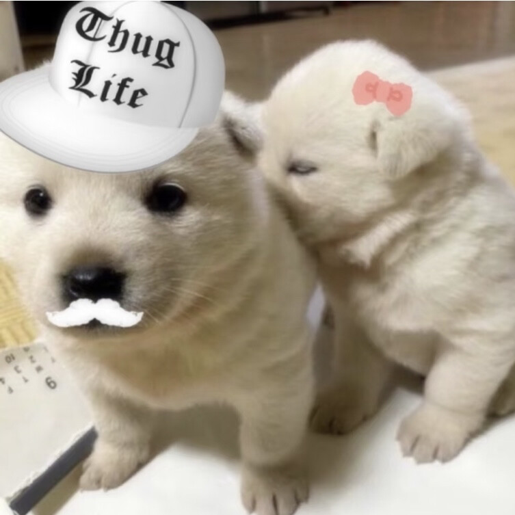 我更新了！？