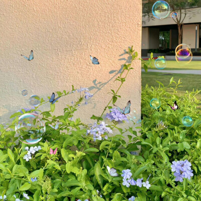 雨天：小清新女头像