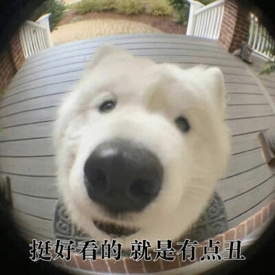 废话表情包
【这么晚还没睡的人应该还没睡吧】【关于明天的事我们后天就知道了】【上次这么无语还是在上次】【我一般在极度愤怒的情况下非常生气】【但凡你这话有点道理也不至于一点道理没有】【挺好看的 就是有点丑…