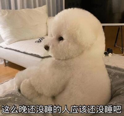 废话表情包
【这么晚还没睡的人应该还没睡吧】【关于明天的事我们后天就知道了】【上次这么无语还是在上次】【我一般在极度愤怒的情况下非常生气】【但凡你这话有点道理也不至于一点道理没有】【挺好看的 就是有点丑…