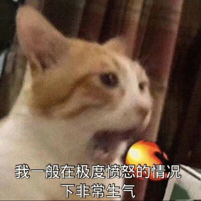 废话表情包
【这么晚还没睡的人应该还没睡吧】【关于明天的事我们后天就知道了】【上次这么无语还是在上次】【我一般在极度愤怒的情况下非常生气】【但凡你这话有点道理也不至于一点道理没有】【挺好看的 就是有点丑…