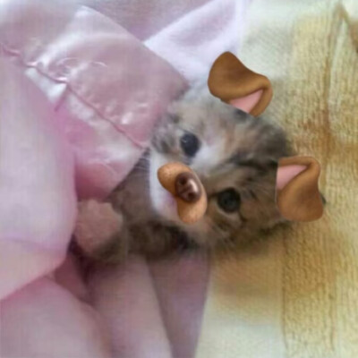 你好