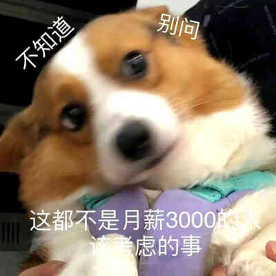 阴阳怪气表情包
【天啊 地球没你都转不了 好棒棒】【敷衍一笑 哦】【哪有您厉害啊】【自觉一点 垃圾就该待在垃圾袋里】【是说得没错啦 可是 跟我又有什么关系呢】【你这种人 打雷的时候要小心啊】【不知道 别问 这…