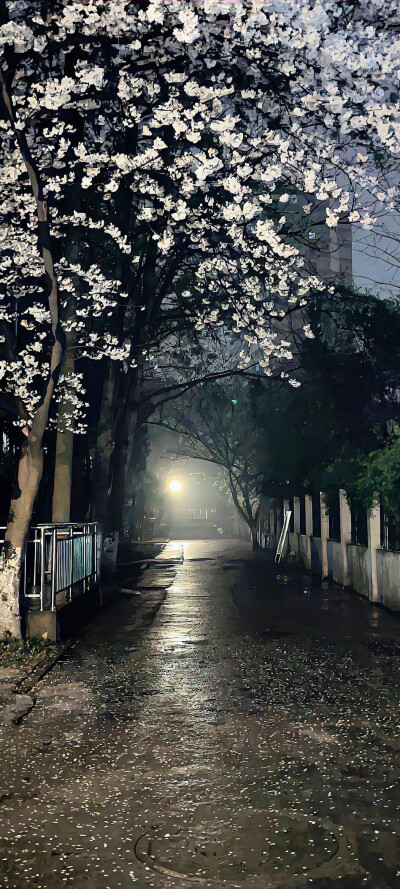 小花