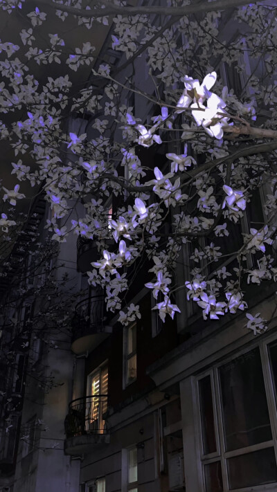 小花