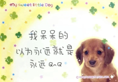 我呆呆的Q^Q