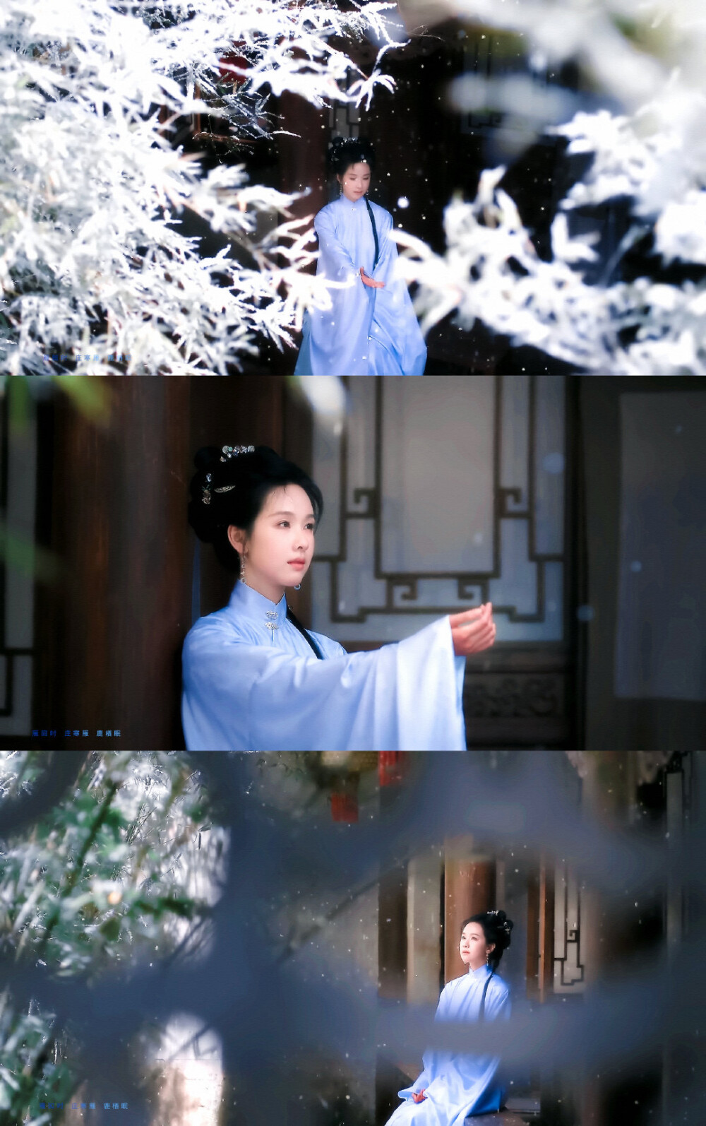 贵女