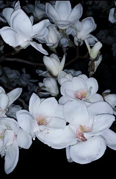小花
