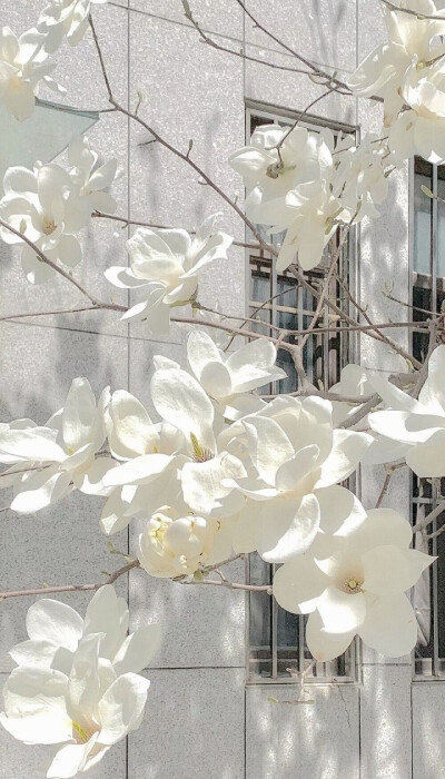 小花