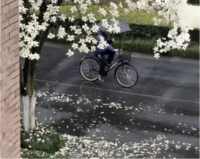 小花