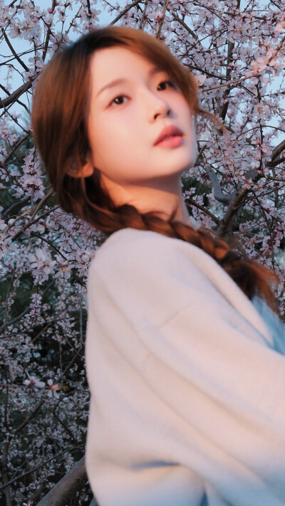 张淼怡