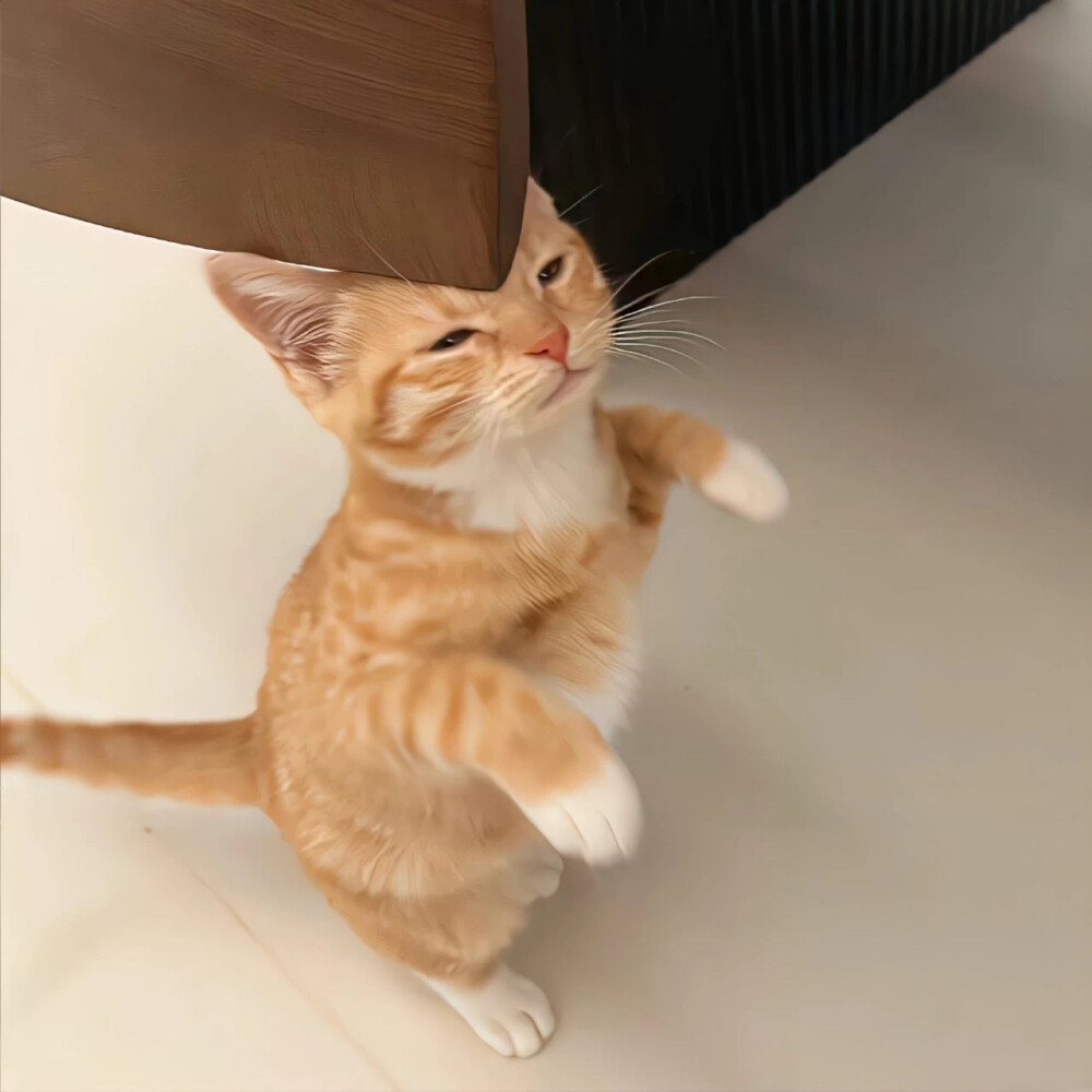 ʟsᴜɴɪᴄᴏʀɴ