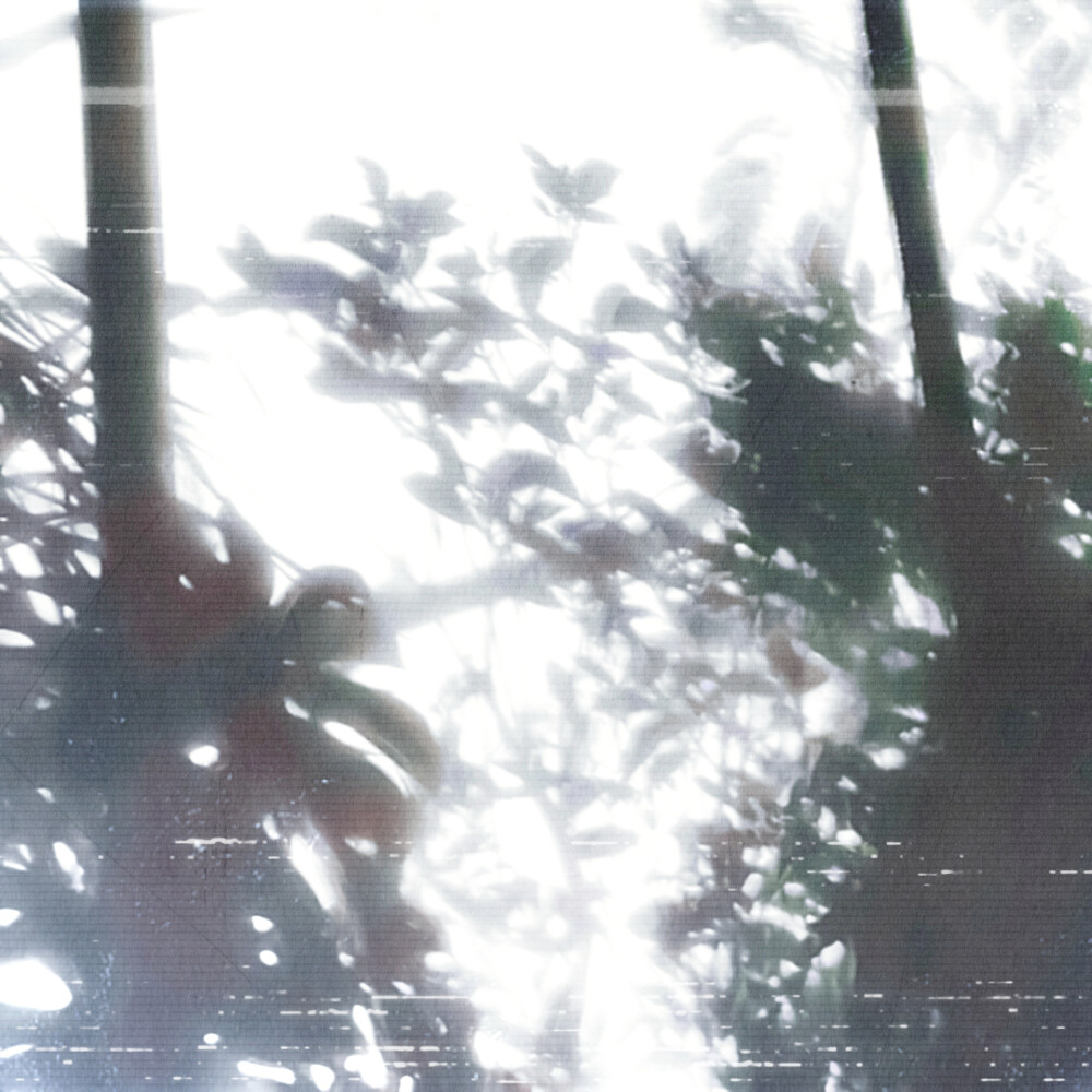 `我的世界因为你 有了颜色
`翟潇闻