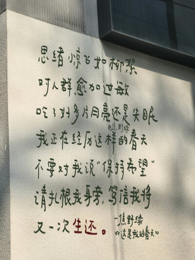 文字/
朋友圈背景图/
cr.@焦野绿在写诗