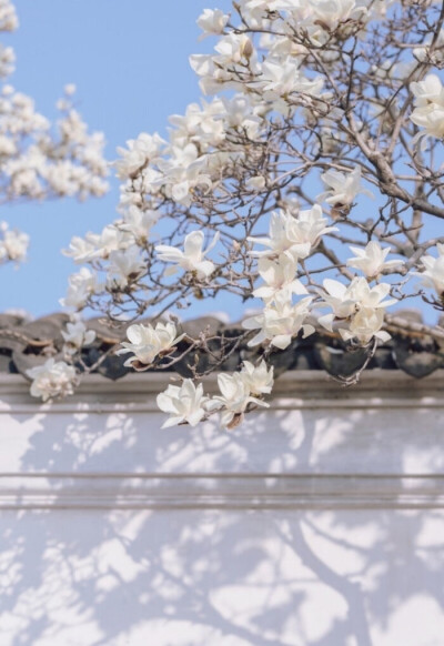 小花