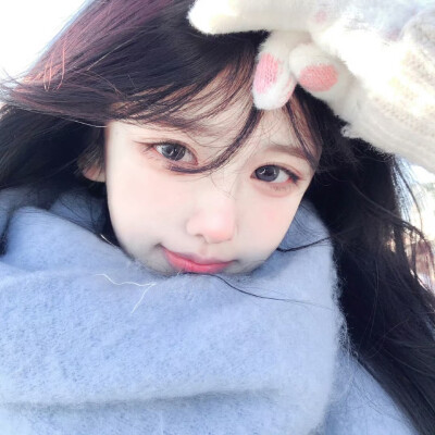 布奶熊