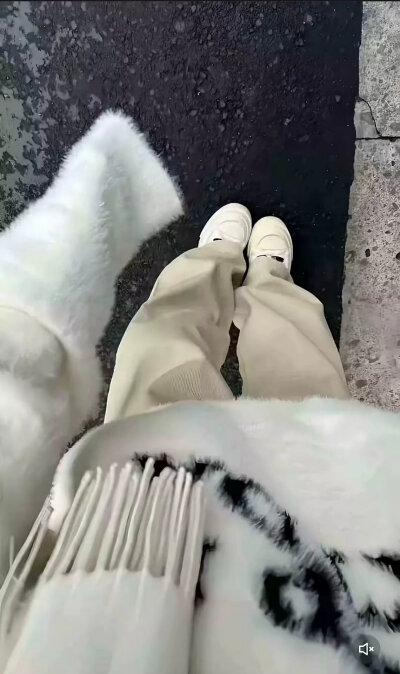 忘记你步入正轨.
壁纸