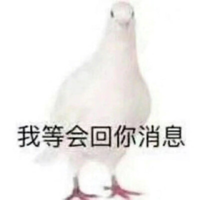 表情包