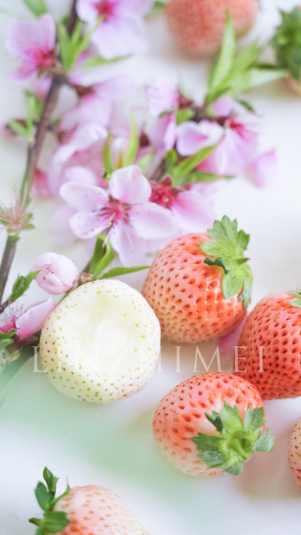 粉草莓“玉桃香”和黑草莓“真红美玲”