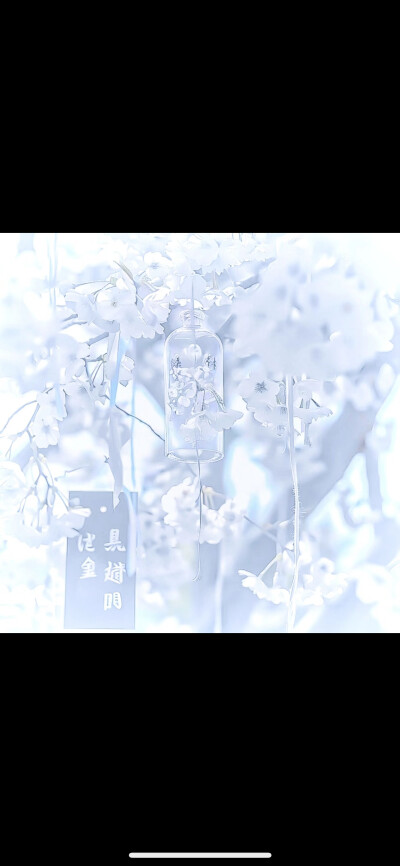 雪