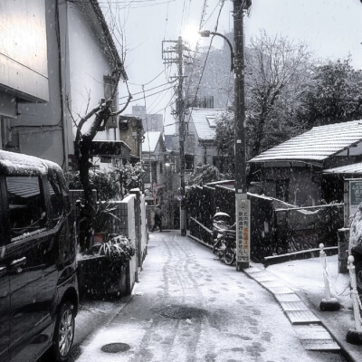 伦敦下雪那晚，那只逃走的波斯猫又回到了我的家，壁炉燃起的火焰疯长，落地钟的声响在回荡，热腾腾的红茶浸入我的身体，我们在酸涩的春天重逢。