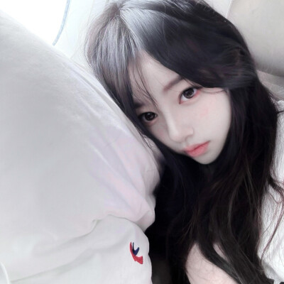 布奶熊