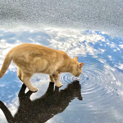微信朋友圈背景蓝色系