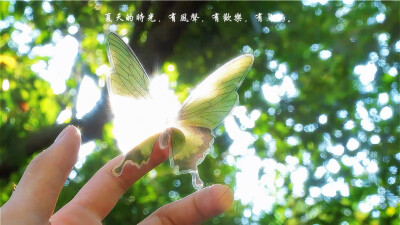 ins绿色朋友圈背景图