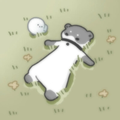 汤汤