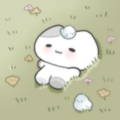 汤汤
