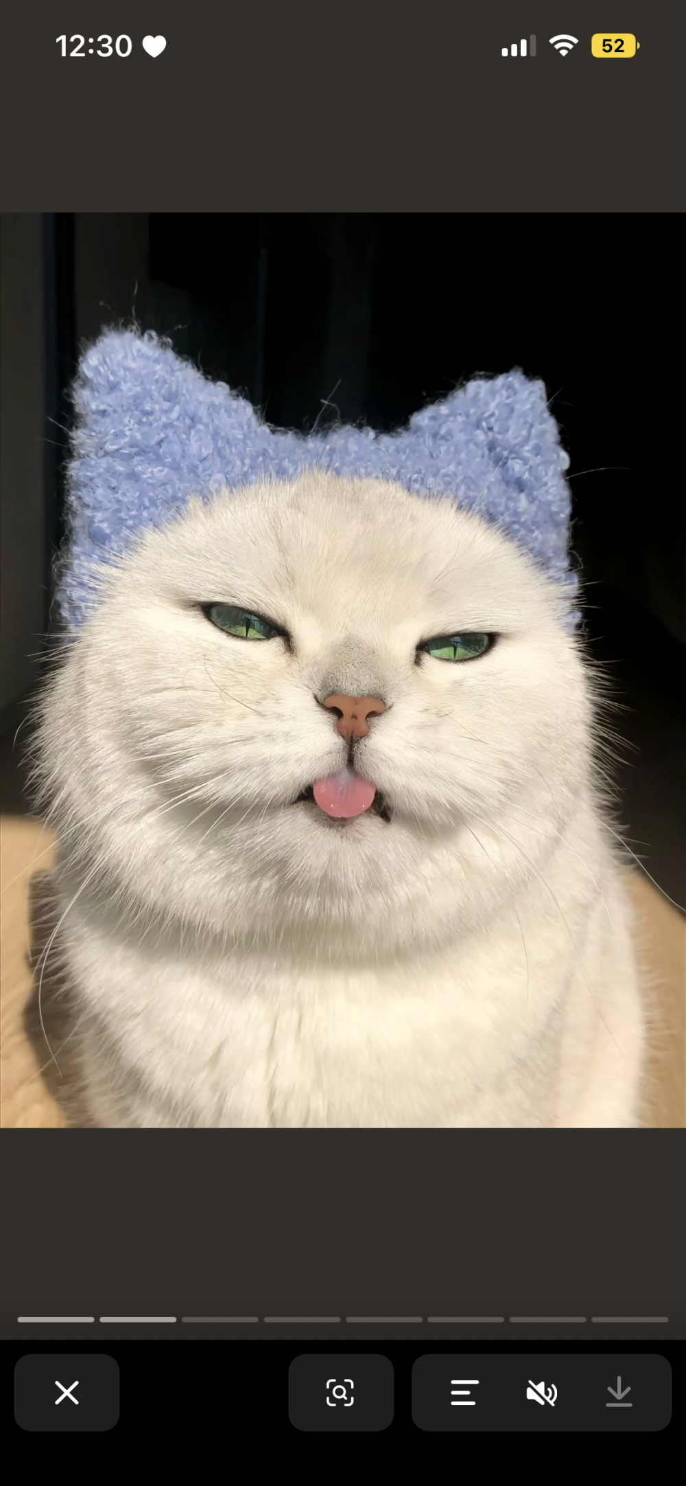 壁纸