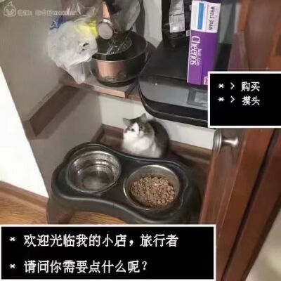 茉莉香