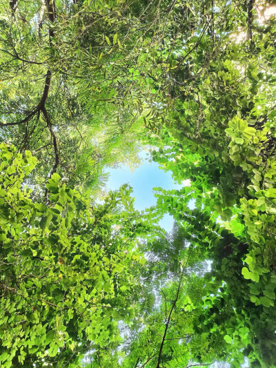 ins绿色朋友圈背景图