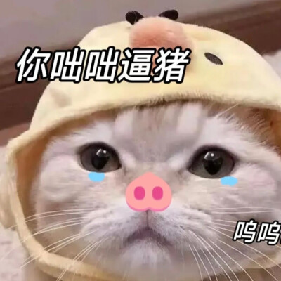 搞笑表情包