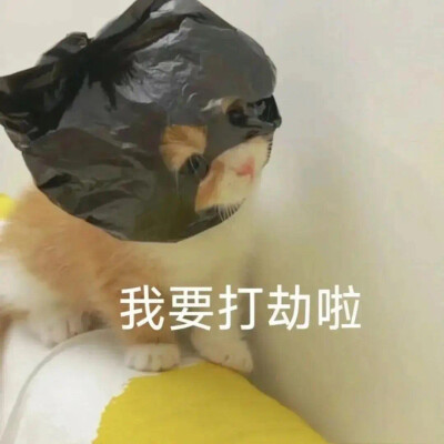 搞笑表情包