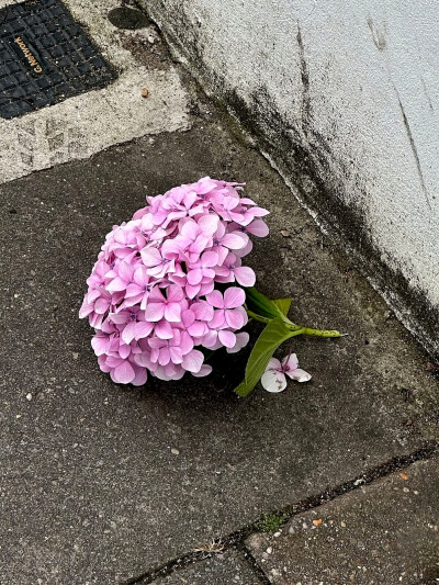 風薫る砂浜で また会いましょう
在风香的沙滩上再见吧。