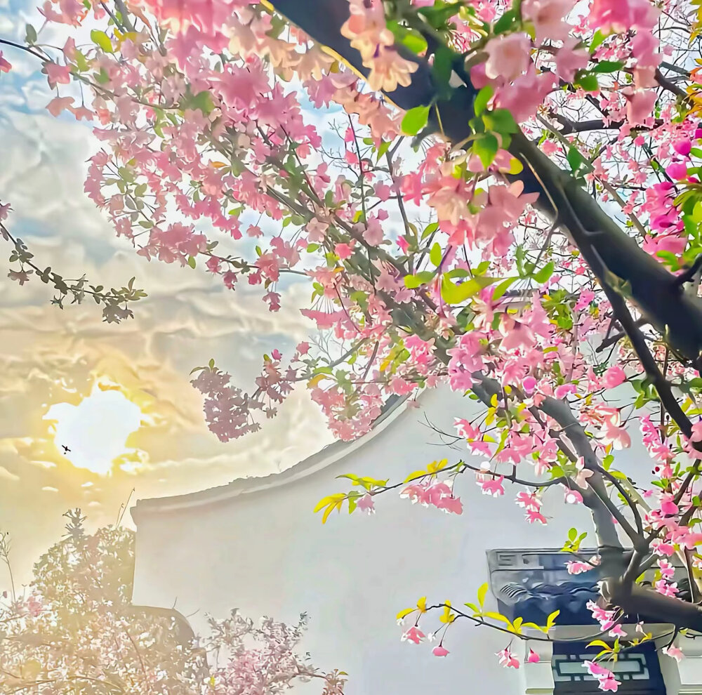 背景图