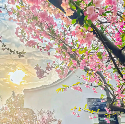 背景图